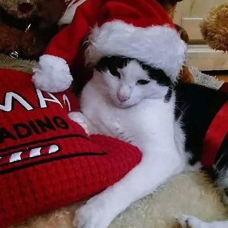 アパート Concordia *